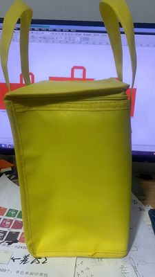Customized Color Non Woven Insulating Lunch Cooler Shopping Bag for Picnic Ice cream Pack