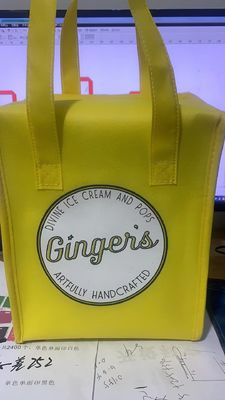 Customized Color Non Woven Insulating Lunch Cooler Shopping Bag for Picnic Ice cream Pack