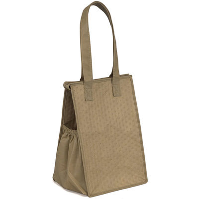 Customized Color Ruthbag Therm-O-Snack Cooler Lunch Tote Bag for Keeping Food Fresh