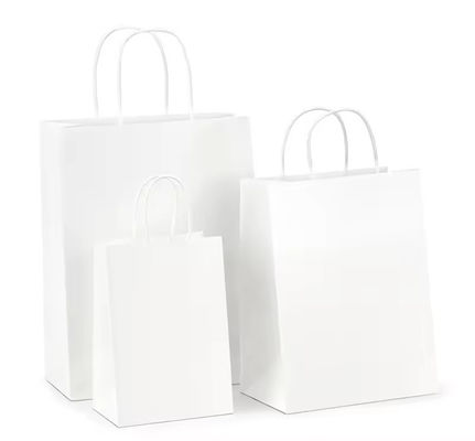 Paper Twisted Handle Shopping Gift Carrier Bag With Logo Printed and OEM/ODM Accepted