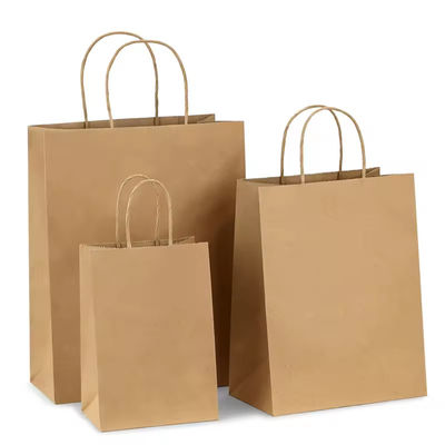 Paper Twisted Handle Shopping Gift Carrier Bag With Logo Printed and OEM/ODM Accepted