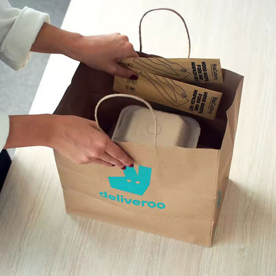 Paper Twisted Handle Shopping Gift Carrier Bag With Logo Printed and OEM/ODM Accepted