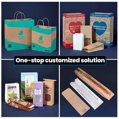 Paper Twisted Handle Shopping Gift Carrier Bag With Logo Printed and OEM/ODM Accepted