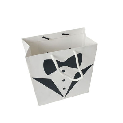 Small Business Custom Logo Accepted Recyclable Biodegradable Paper Bag Gift Packaging
