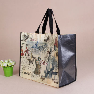 Non-Woven Tote Bag with Custom Logo Printing Accepable OEM/ODM Pp Woven Shopping Bag