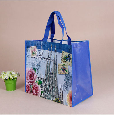 Non-Woven Tote Bag with Custom Logo Printing Accepable OEM/ODM Pp Woven Shopping Bag