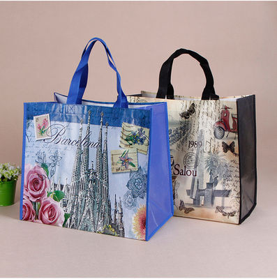 Non-Woven Tote Bag with Custom Logo Printing Accepable OEM/ODM Pp Woven Shopping Bag