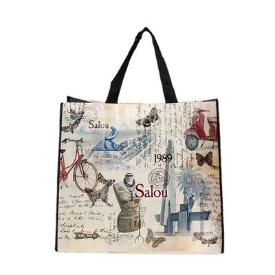 Non-Woven Tote Bag with Custom Logo Printing Accepable OEM/ODM Pp Woven Shopping Bag