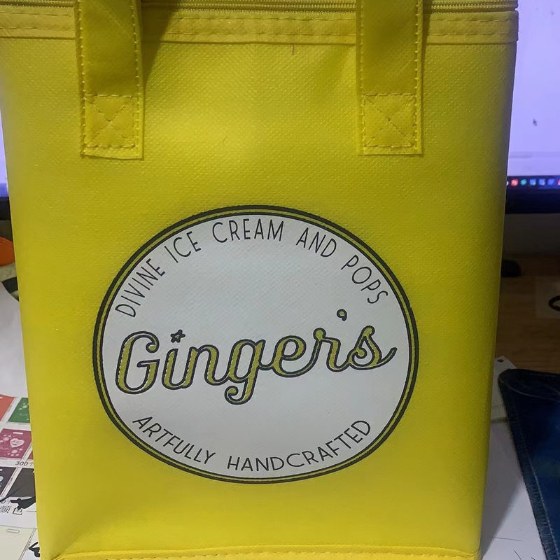 Customized Color Non Woven Insulating Lunch Cooler Shopping Bag for Picnic Ice cream Pack