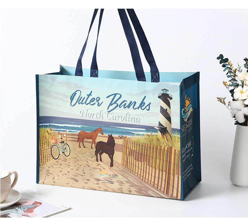 Medium Size Eco Friendly Laminated Nonwoven Bag for Customized Shopping Boutique