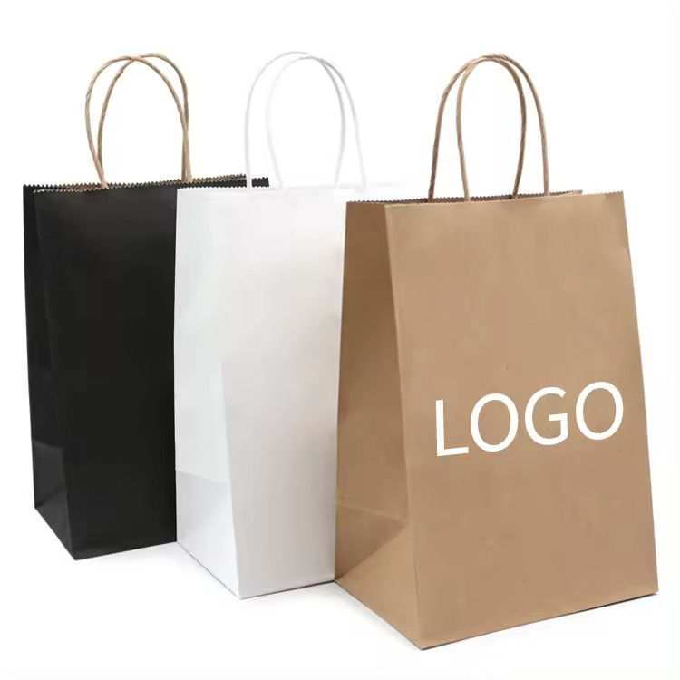 Paper Twisted Handle Shopping Gift Carrier Bag With Logo Printed and OEM/ODM Accepted