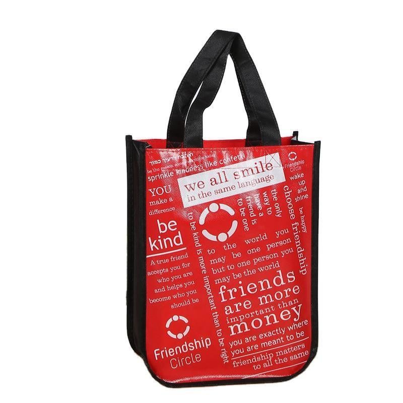 Reusable Non Woven Shopping Bag with Customized Color and Handled Style